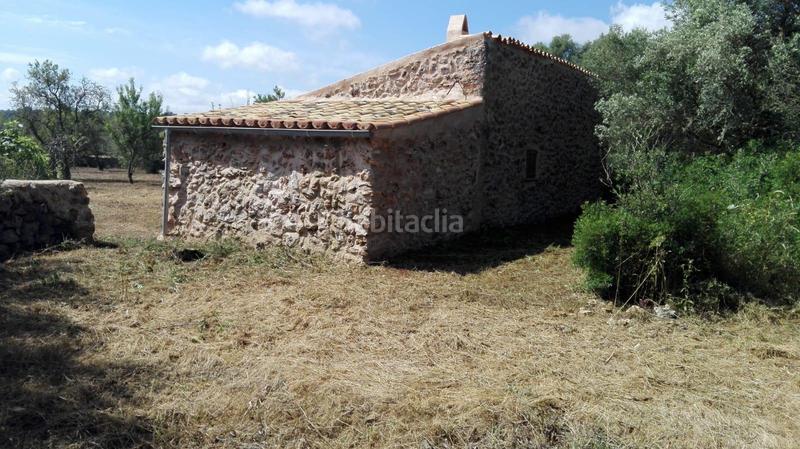 Foto 28253abe-b6cf-42a0-8b23-661be9d79691. Propriété dans Sencelles