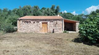 Finca rústica en Sencelles. Venta de finca de 7.000 m2 con casita reformada en son tano senc
