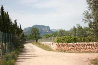 Residential Plot in Lloseta. Parcela rústica de 34.784 m2 en lloseta