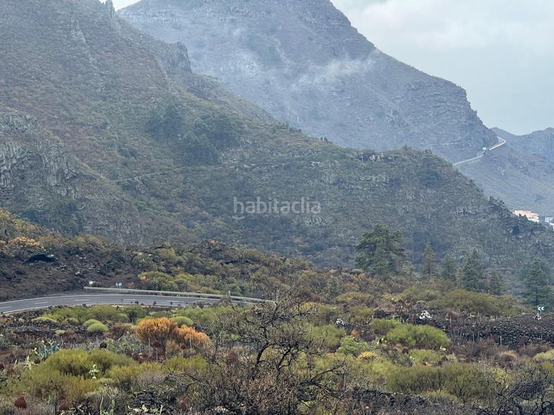 Foto 71341329-1ab9-422c-b442-7679d09e626d. Landgut in Santiago del Teide pueblo Santiago del Teide