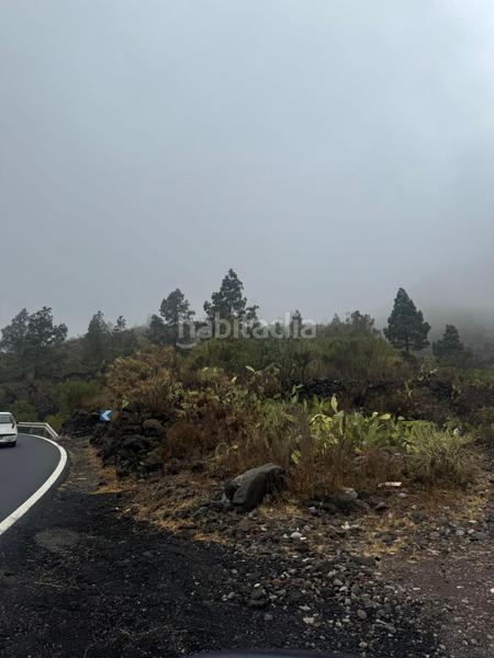 Foto a7a9d691-2c64-4d1f-af52-4f07e05f2a4a. Landgut in Santiago del Teide pueblo Santiago del Teide