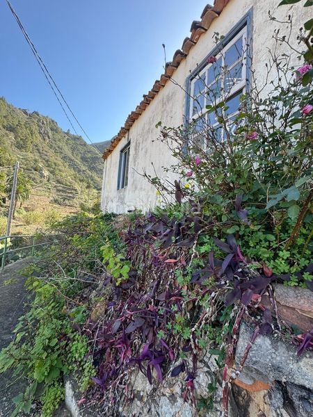 Foto c98d1ffc-41b8-4d4c-8db1-5bde90be6274. Casa a Vallehermoso