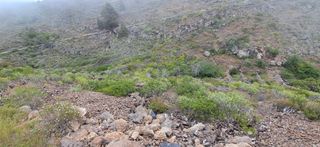 Finca rústica a Guía de Isora Interior. Tu rincón en la naturaleza  terreno de 1.802 m2 con vistas al ma