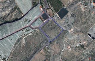 Proprit en Alcal. Se vende terreno rstico agrario de 6594 m2  ideal para cultivo