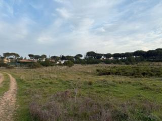 Finca rústica a Calle olmo 2. Terreno en venta en diseminado pino muerto aljaraque