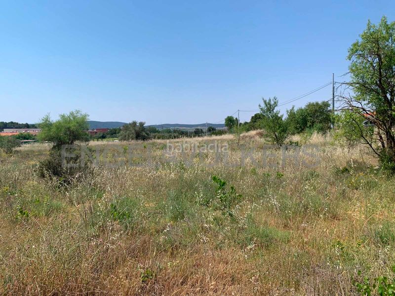 Foto 1ad0dd2f-191c-40dd-8a18-e3d09f621549. Finca rústica a Requena