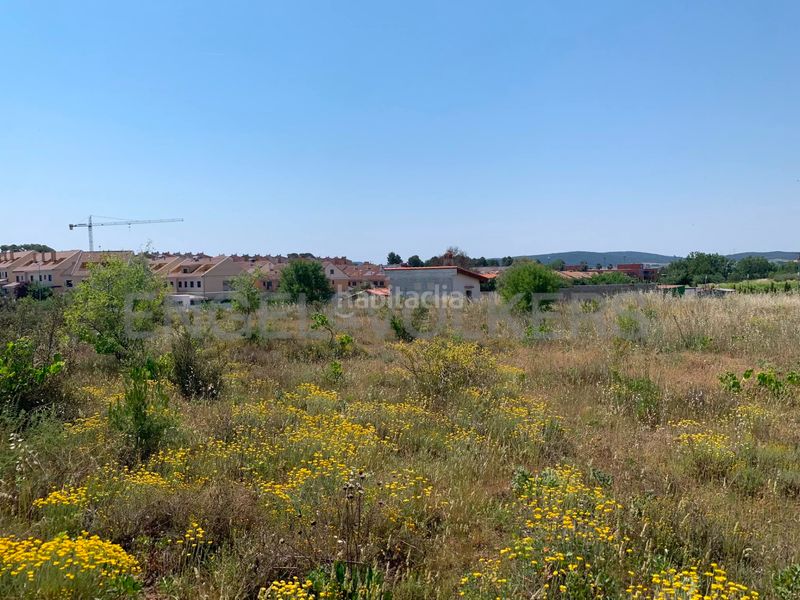 Foto 204a8564-8c10-4eb9-9bb5-f837b3346046. Finca rústica a Requena