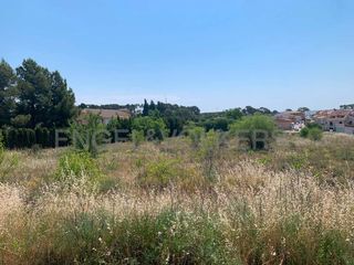 Finca rústica a Requena