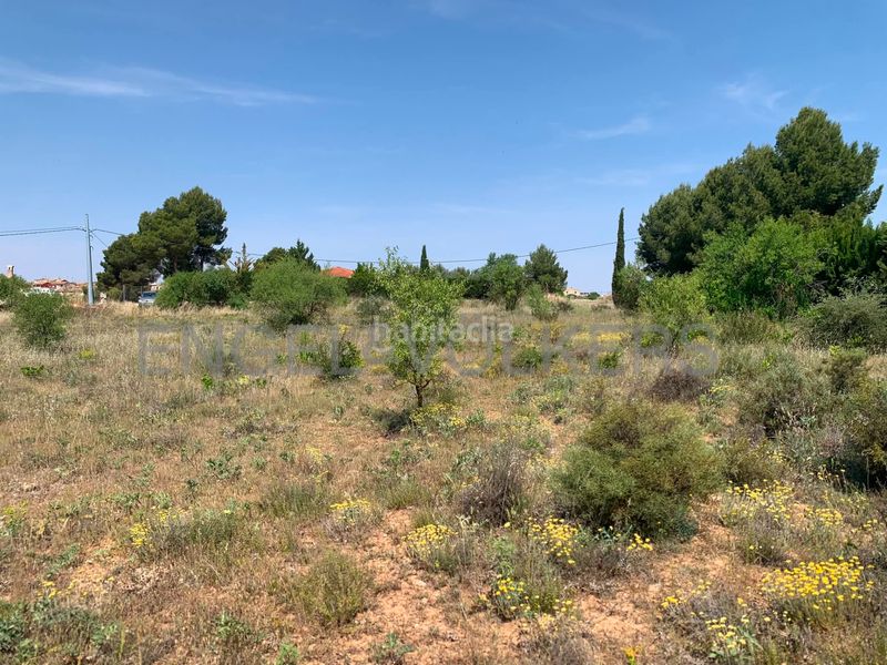 Foto 60a009f0-c443-474f-976a-ee224291f026. Finca rústica a Requena
