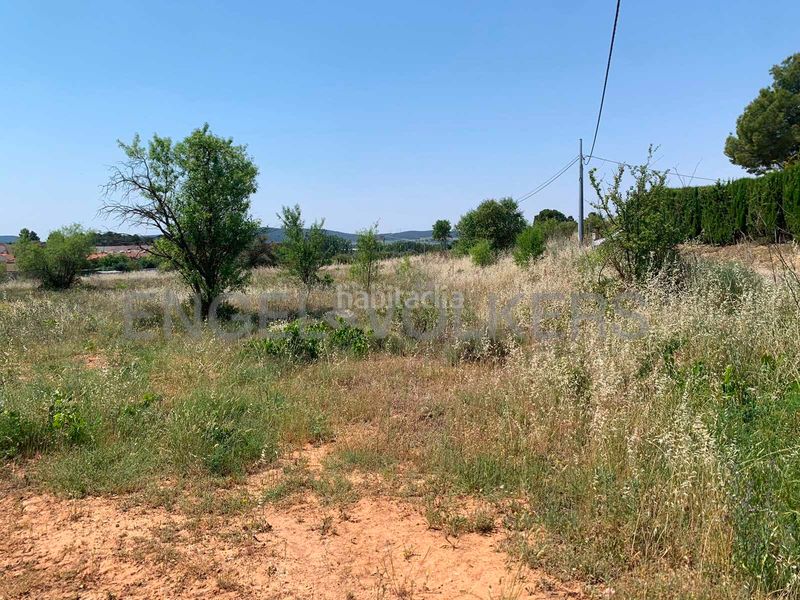 Foto a0c84c99-1792-4e78-9fa8-7d8a6b683bd0. Finca rústica a Requena