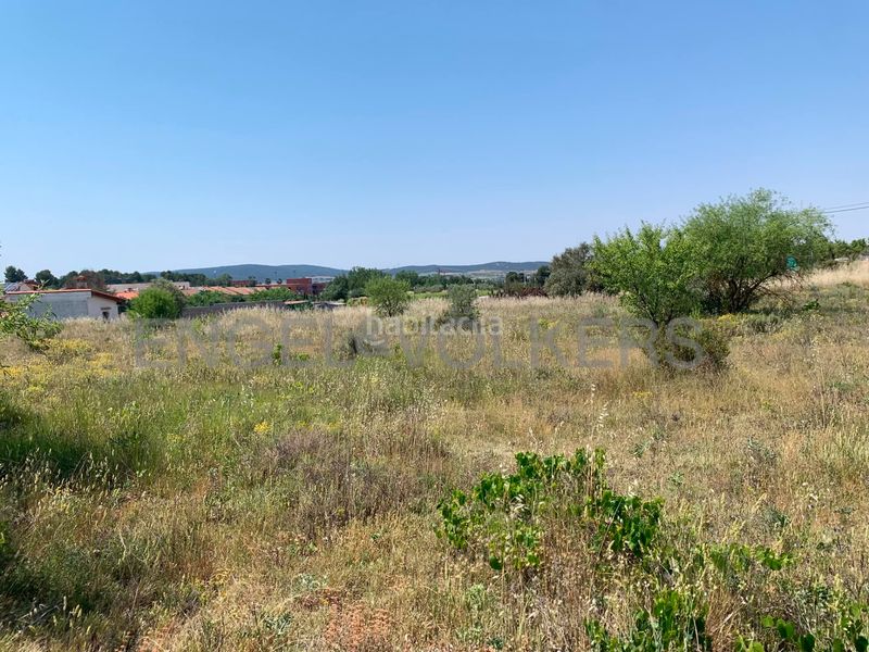 Foto a99151b5-d689-477c-990e-7df03e84e87c. Finca rústica a Requena