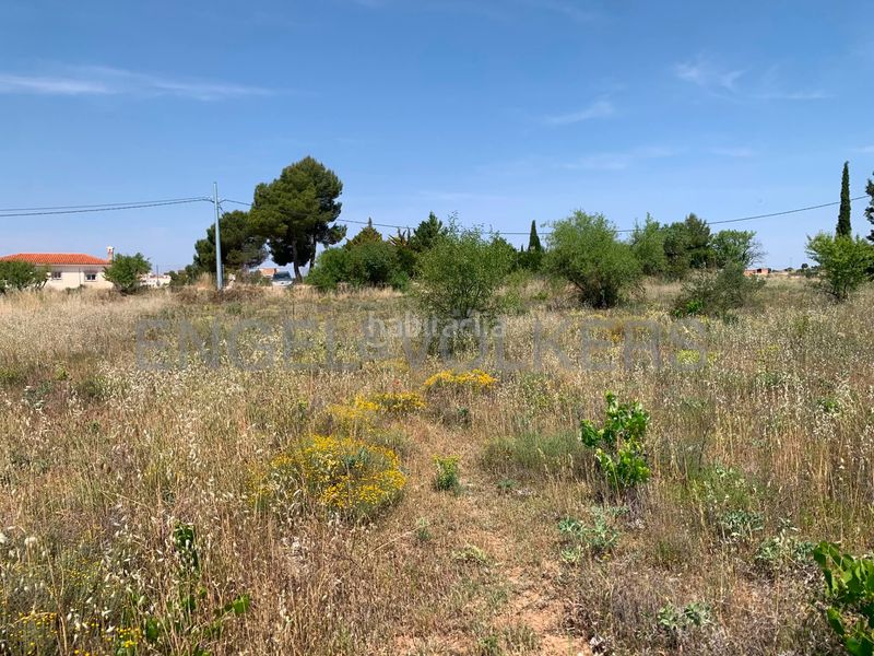 Foto bfc5e6af-fda5-45ee-b0b0-87596d110543. Finca rústica a Requena