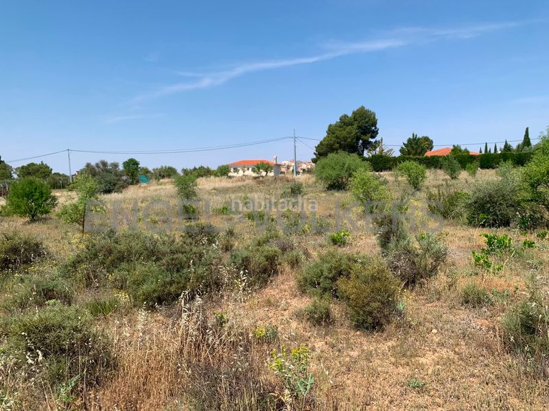Foto e34a7aaa-47a0-4a62-a430-bd7e188908a3. Finca rústica a Requena