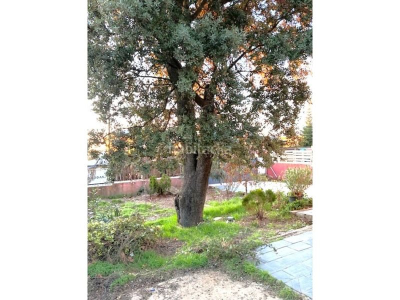 Foto aaa492c3-9efd-43bf-8c9c-a1155516f3c8. Miete chalet mit heizung parking pool in Los Ángeles de San Rafael Espinar (El)