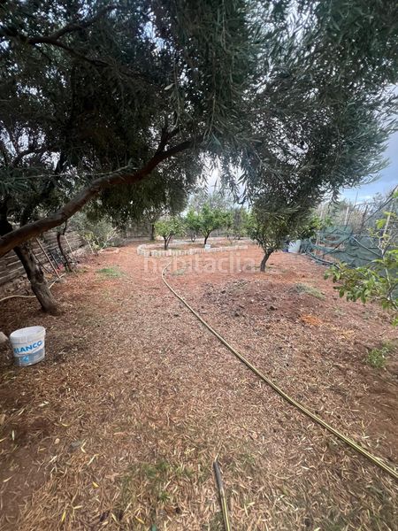 Foto 08ad106c-5108-43f5-b71d-4971eb07c000. Finca rústica a Ingenio pueblo Ingenio