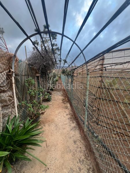 Foto 128827a1-5969-49e4-a547-b926dd56058d. Finca rústica a Ingenio pueblo Ingenio