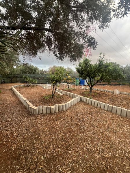 Foto 43b1b68d-3d70-48e8-875f-c100582c9470. Finca rústica a Ingenio pueblo Ingenio