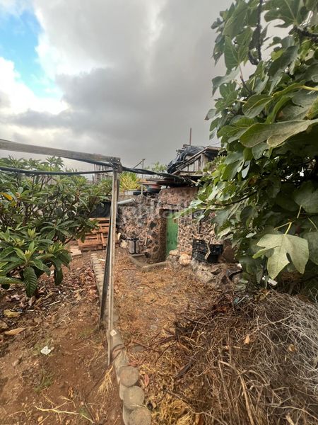 Foto 5c596365-a542-449b-80d4-b864dde254e1. Finca rústica a Ingenio pueblo Ingenio