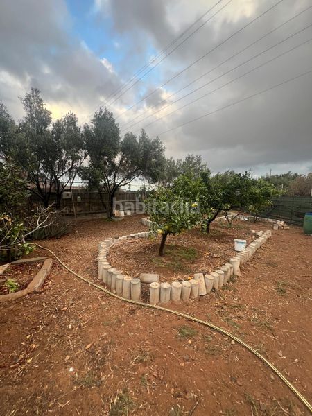 Foto 6d82e169-db30-4725-80ef-8139e72b82cc. Finca rústica a Ingenio pueblo Ingenio
