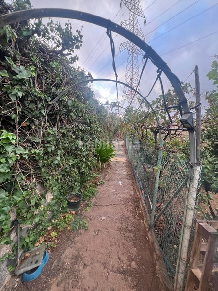 Foto b3065193-e2a9-42e6-8e42-e174b3f0e70f. Finca rústica a Ingenio pueblo Ingenio