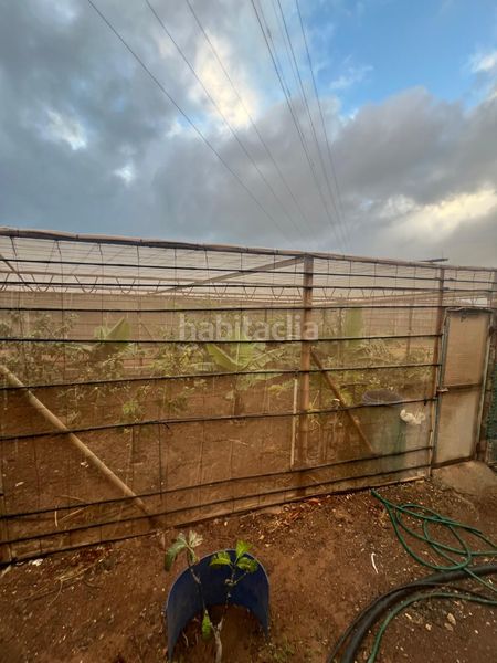 Foto d95c6706-31ef-4d5f-826a-9993fe32fe53. Finca rústica a Ingenio pueblo Ingenio