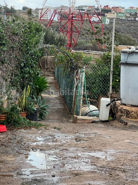 Foto ffe28f66-2b48-4df0-949a-4e3123b3484e. Finca rústica a Ingenio pueblo Ingenio