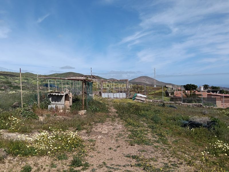Foto d271f67b-c185-471d-83d6-18590ff067e4. Finca rústica a n/a a Sequero Ingenio