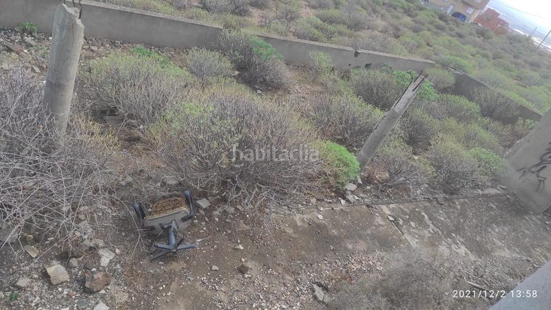 Foto 4e1c7403-1a41-468c-971d-bd78ad694981. Finca rústica a Ingenio pueblo Ingenio