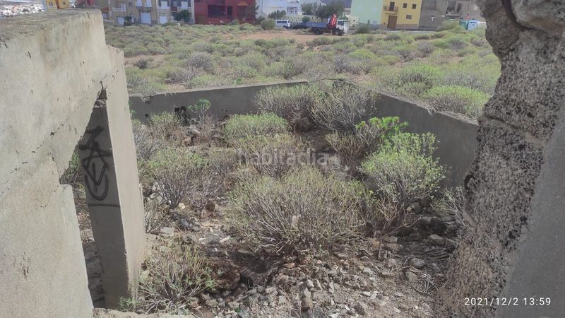 Foto 79a600a7-2507-4f0e-8f7d-cd783337d876. Finca rústica a Ingenio pueblo Ingenio