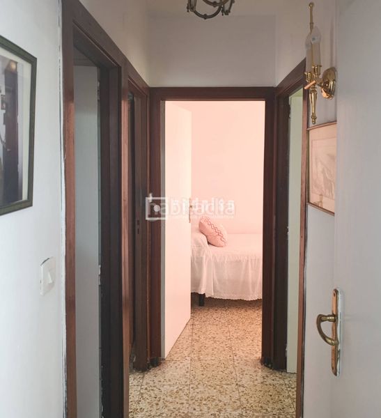 Foto b744c017-05b4-417b-aa64-ce0236047f03. Pis a Triana Oeste Sevilla