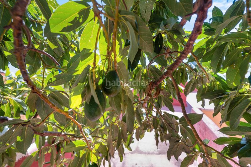 Foto 1b3d4ca4-259a-4d30-965f-8b369b0e5bbe. Casa ubicación privilegiada pueblo – villa con gran otencial y piscina privada en Benalmádena