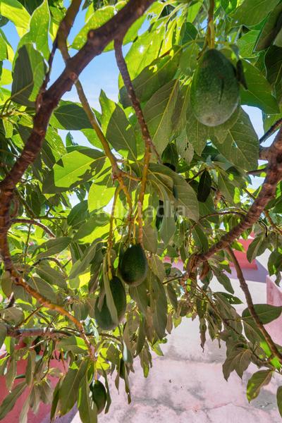 Foto c46e6a5b-f51d-4df1-8991-e8e1ebbee8e3. Casa ubicación privilegiada pueblo – villa con gran otencial y piscina privada en Benalmádena