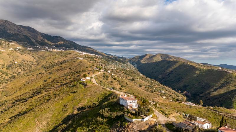 Foto 1f8c2a5f-5b2f-4327-be14-cef15df7c28d. Masía venta de casa rústica en canillas del aceituno, en la viñuela, vélez-málaga en Canillas de Aceituno