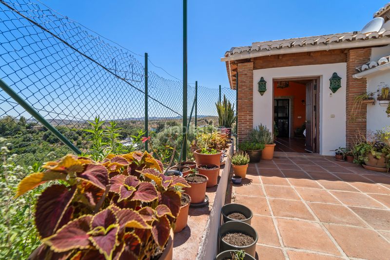 Foto 00f0f3d2-8433-40f6-8607-e42f0218369f. Casale con camino parcheggio piscina in Valtocado - La Alquería - La Atalaya Mijas