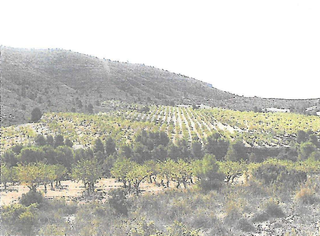 Finca rústica a Las Virtudes. Coto de caza agrícola en villena, alicante