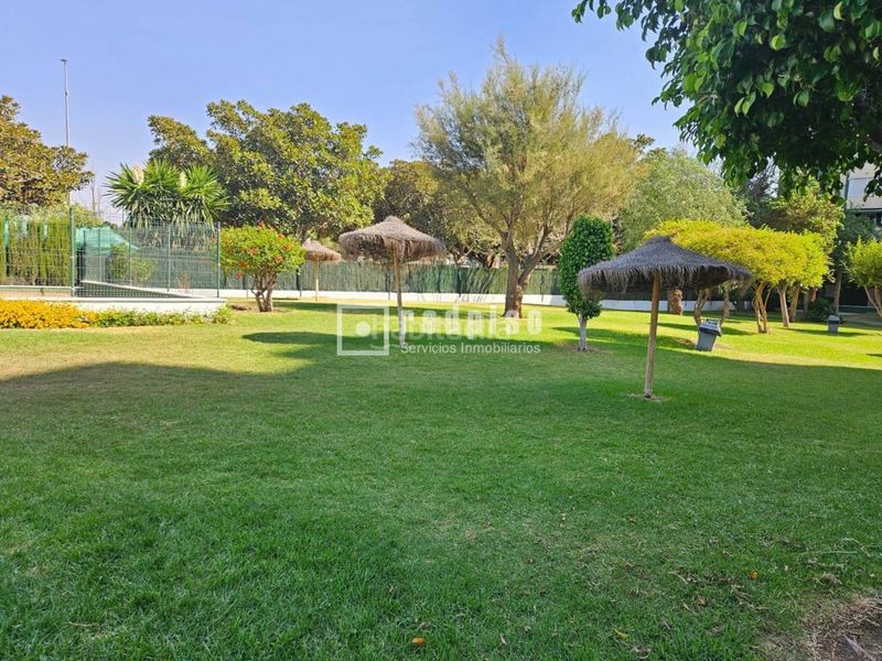 Foto 71dfa6af-afc7-4d0e-90b8-6dfb1d165752. Pis amb calefacció piscina a El Consul - Ciudad Universitaria - El Romeral Málaga