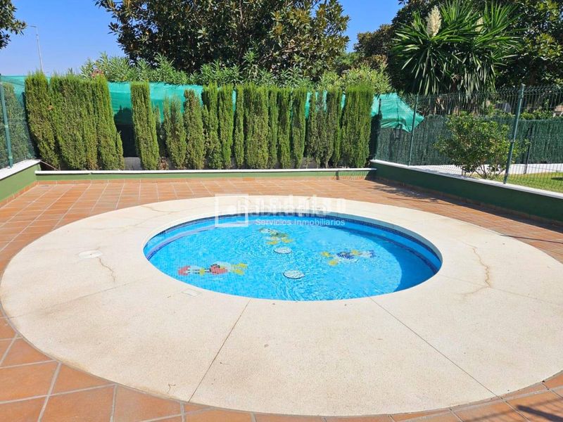 Foto a6bf19da-bfd6-41a3-aa9c-c21356da247d. Pis amb calefacció piscina a El Consul - Ciudad Universitaria - El Romeral Málaga