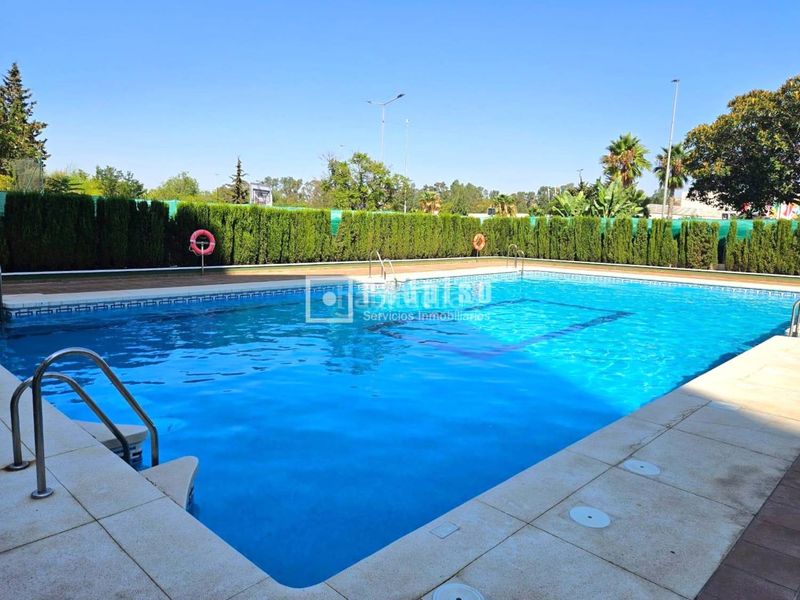 Foto b8ccf418-779e-4f6c-ab5b-c3ea02f361d9. Pis amb calefacció piscina a El Consul - Ciudad Universitaria - El Romeral Málaga
