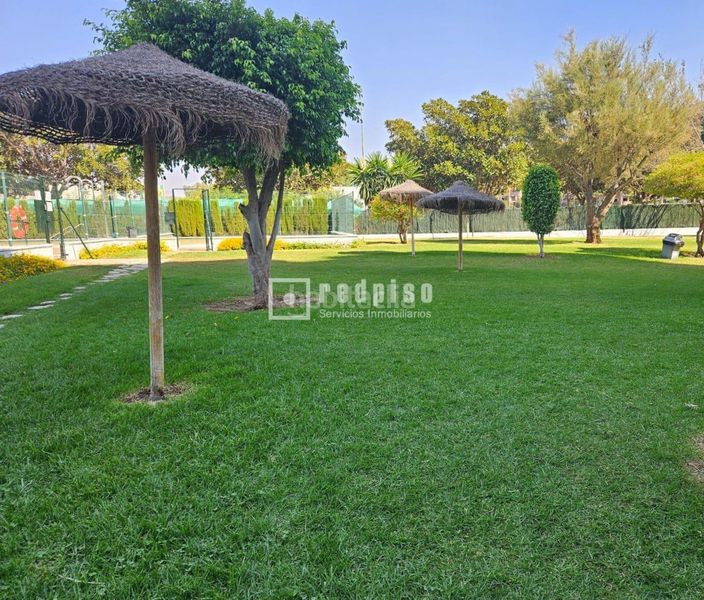 Foto e0d06166-f048-465b-a7eb-69ef64a4d335. Pis amb calefacció piscina a El Consul - Ciudad Universitaria - El Romeral Málaga