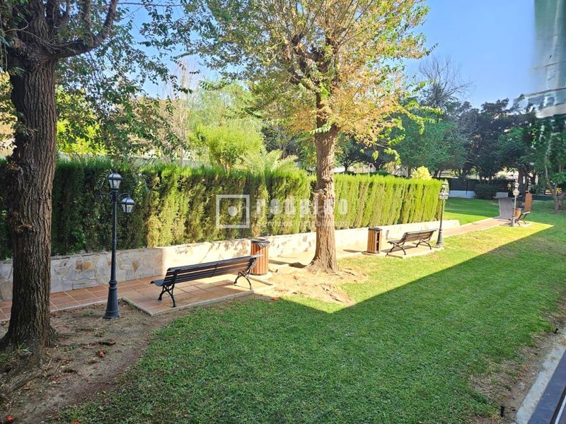 Foto fb3e0106-e5ed-413f-99c1-cd93ba928592. Pis amb calefacció piscina a El Consul - Ciudad Universitaria - El Romeral Málaga
