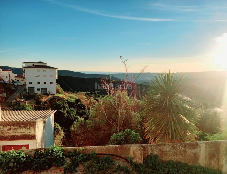 Foto 40e40369-fff4-4d77-be1c-0da0745f5c9f. Alquiler local comercial  en Canillas de Aceituno