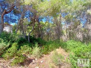 Terreno residenziale in La Empedrola