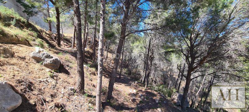 Foto 185da23b-866c-412c-8641-201e77fc5803. Terrain résidentiel dans Oltamar - Cucarres Calp