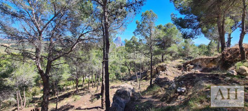 Foto db16b98a-5c0f-4f50-a886-89172d61cfb0. Terrain résidentiel dans Oltamar - Cucarres Calp