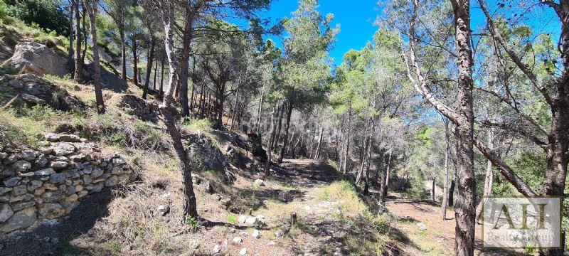 Foto a58eb660-15aa-42e2-95d6-0181a6b8d89a. Terrain résidentiel dans Oltamar - Cucarres Calp