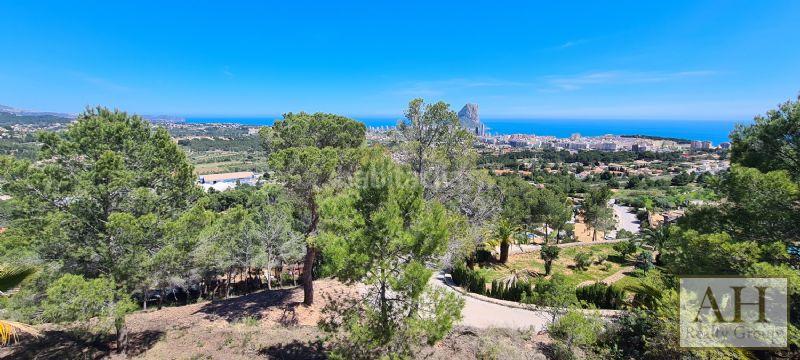 Foto c79b2280-5fbf-4253-8575-b6dd85a4c185. Terrain résidentiel dans Oltamar - Cucarres Calp