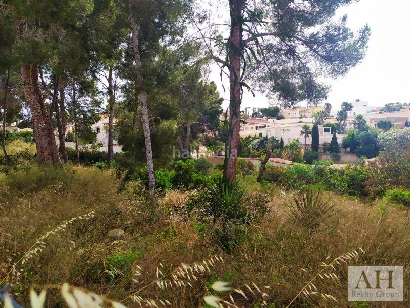 Foto c367432f-7abb-4c13-8ae8-b928fc84df36. Terrain résidentiel dans Cometa Calp