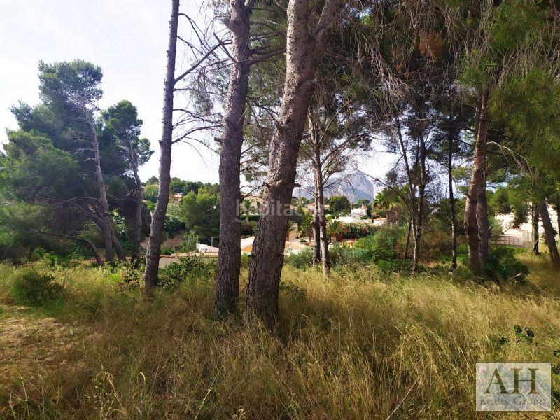 Foto f0e7eeb6-501e-4412-8a67-febaf7052baa. Terrain résidentiel dans Cometa Calp