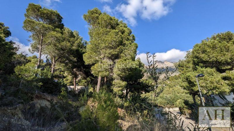 Foto 501b0f61-51e8-4dbb-802c-3247680db22b. Terreny residencial a Altea la vella Altea