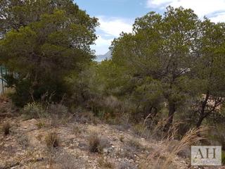 Residential Plot in Mascarat